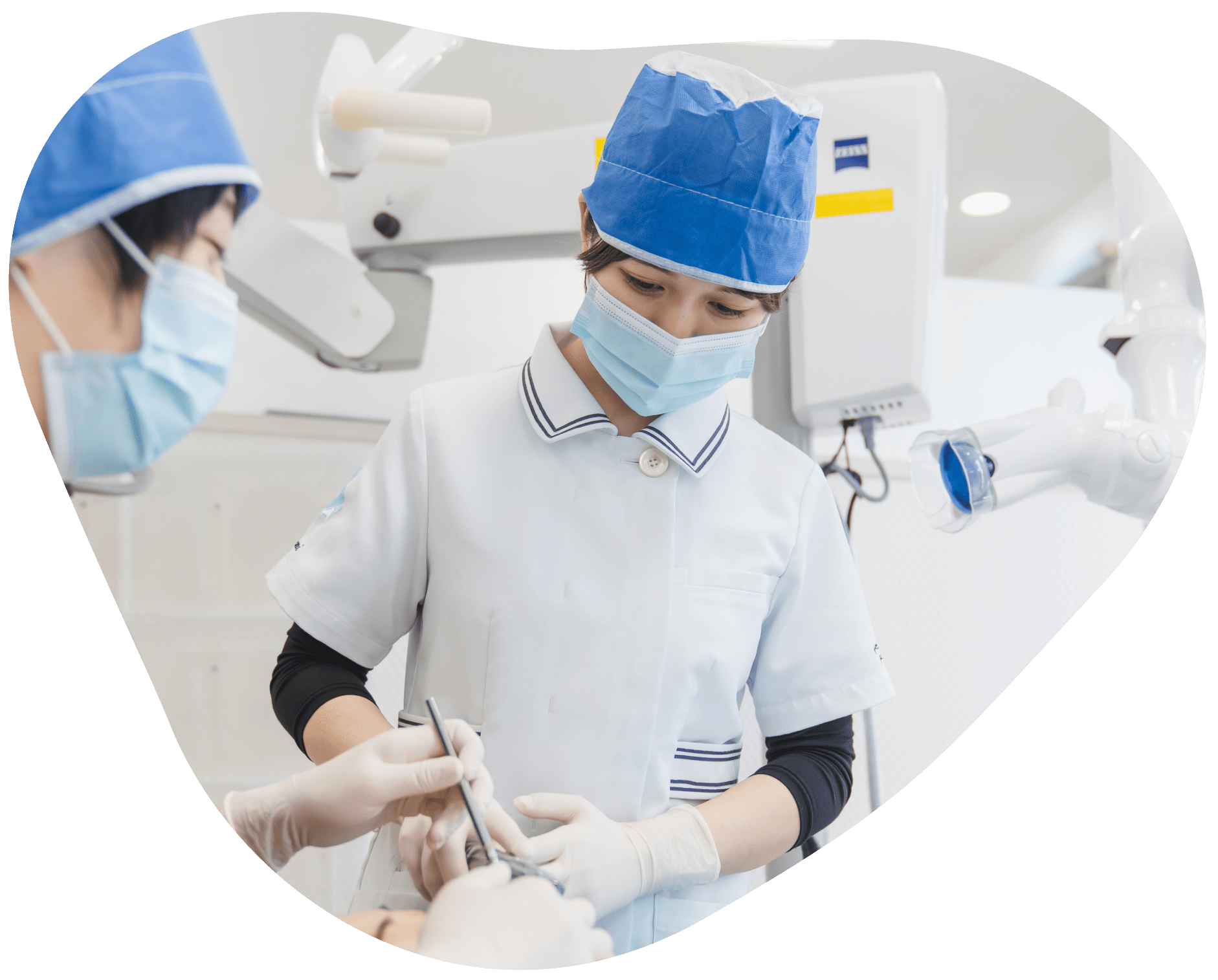 歯科助手/TCの写真