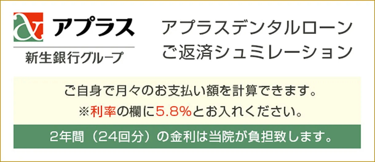 アプラス 新生銀行グループ